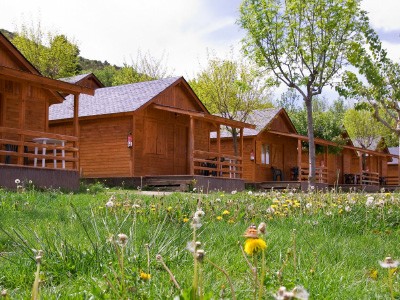 Hotel Powerful Insights